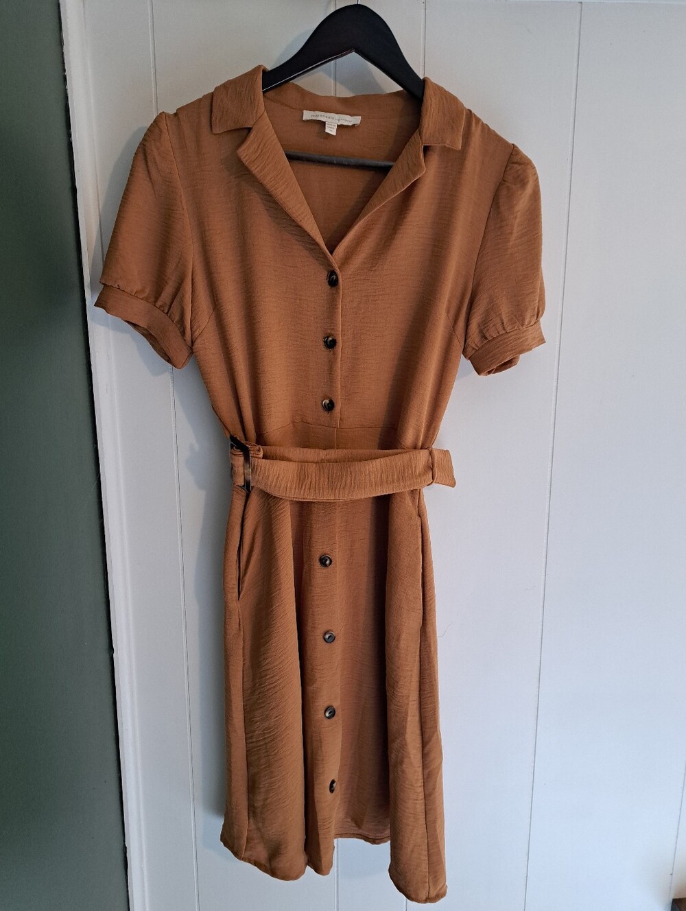Monteau Button-Front Shirt Dress in Rust